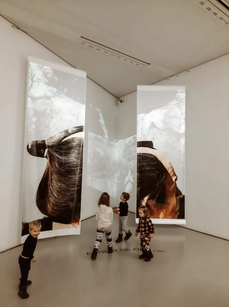 Historia Muzeum Manggha