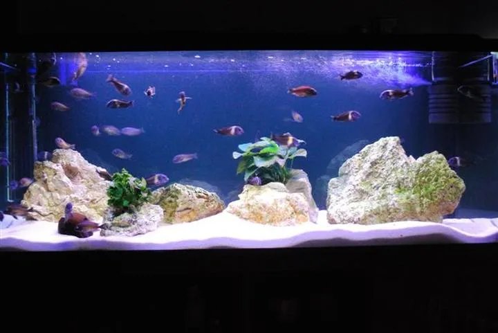 Interaktywne doświadczenia sztuki