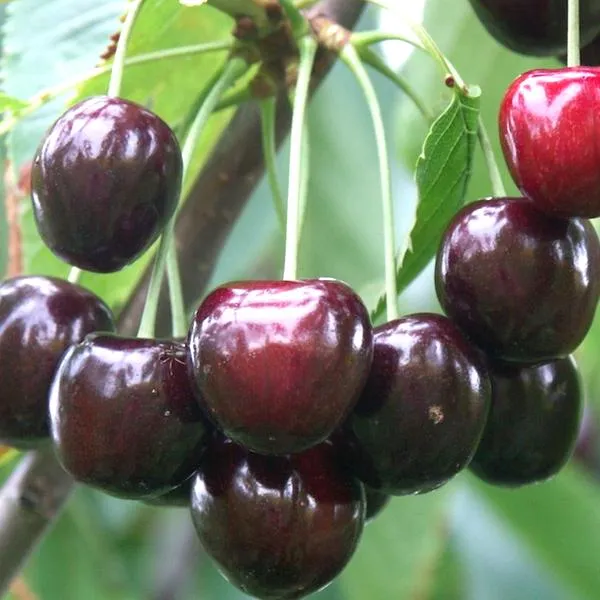 Mroczne symbole w horrorze